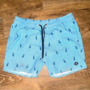 Sperry Men's Blue/White Striped Pineapple Swim Trunks L Mesh Lined Drawstring